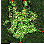 pay_fild02