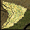 ra_fild05