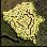 ra_fild06